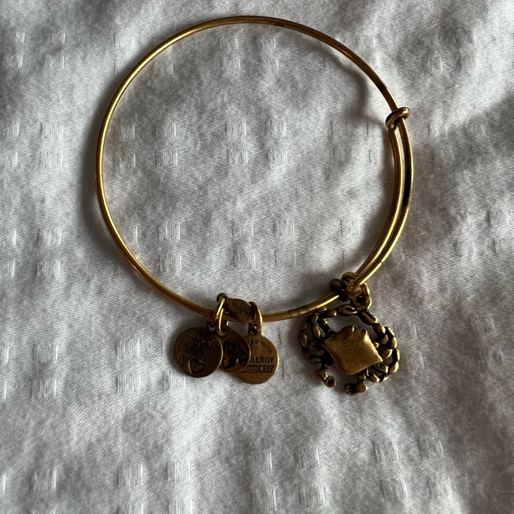 Alex and Ani bracelet